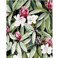 Zuty - Painting by Numbers - Rhododendron With White And Pink Flowers (Alexandria Gilbert), 40X50 Cm - Painting by Numbers