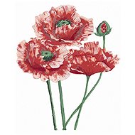 Zuty - Painting by Numbers - Wolf Poppy Three Flowers (Alexandria Gilbert), 40X50 Cm, Canvas+Frame - Painting by Numbers