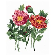 Zuty - Painting by Numbers - Wolf Poppies (Alexandria Gilbert), 40X50 Cm, Canvas+Frame - Painting by Numbers