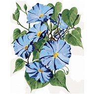 Zuty - Painting by Numbers - Blue Flowers of the Afterglow (Alexandria Gilbert), 40X50 Cm, Canvas+Fr - Painting by Numbers