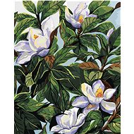 Zuty - Painting by Numbers - White Flowers Magnolias And Leaves (Alexandria Gilbert), 40X50 Cm, Canv - Painting by Numbers