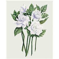 Zuty - Painting by Numbers - White Flowers of Gardenia (Alexandria Gilbert), 40X50 Cm, Canvas+Frame - Painting by Numbers