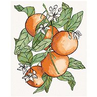 Zuty - Painting by Numbers - Branches and Oranges (Alexandria Gilbert), 40X50 Cm, Canvas+Frame - Painting by Numbers