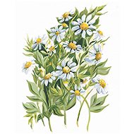 Zuty - Painting by Numbers - Daisies (Alexandria Gilbert), 40X50 Cm, Canvas+Frame - Painting by Numbers