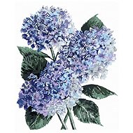 Zuty - Painting by Numbers - Blue Hydrangea (Alexandria Gilbert), 40X50 Cm, Canvas+Frame - Painting by Numbers