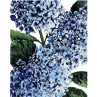 Zuty - Painting By Numbers - Hydrangea With Blue Flowers (Alexandria Gilbert), 40X50 Cm, Canvas+Fram - Painting by Numbers