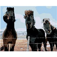Zuty - Painting by Numbers - Three Horses (Ted Davis), 80X100 Cm, Canvas+Frame - Painting by Numbers