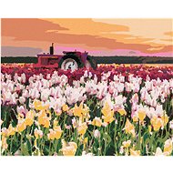 Zuty - Painting by Numbers - Tulips in the Field (Ted Davis), 80X100 Cm, Canvas+Frame - Painting by Numbers