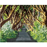 Zuty - Painting by Numbers - Road Surrounded by Trees (Ted Davis), 80X100 Cm, Canvas+Frame - Painting by Numbers