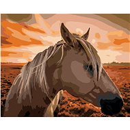 Zuty - Painting by Numbers - Horse at Sunset, 40X50 Cm, Canvas+Frame - Painting by Numbers