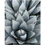 Zuty - Painting by Numbers - Cactus Agave, 40X50 Cm, Canvas+Frame - Painting by Numbers