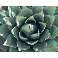 Zuty – Maľovanie Podľa Čísel – Púštna Šťavnatá Rastlina, 80 × 100 cm, Plátno + Rám - Maľovanie podľa čísel