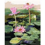 Zuty - Painting by Numbers - Three Pink Water Lilies on the Lake, 40X50 Cm, Canvas+Frame - Painting by Numbers