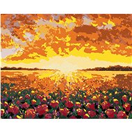 Zuty - Painting by Numbers - Flower Field in France, 80X100 Cm, Canvas+Frame - Painting by Numbers