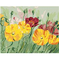 Zuty - Painting by Numbers - coloured Poppy, 80X100 Cm, Canvas+Frame - Painting by Numbers