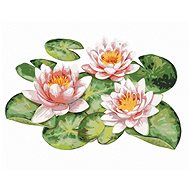 Zuty - Painting by Numbers - Water Lilies in a Garden Pond, 80X100 Cm, Canvas+Frame - Painting by Numbers