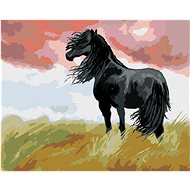 Zuty - Painting by Numbers - Black Horse in a Meadow, 40X50 Cm, Canvas+Frame - Painting by Numbers