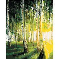 Zuty - Painting by Numbers - Birch Trees in a Lighted Forest, 40X50 Cm, Canvas+Frame - Painting by Numbers