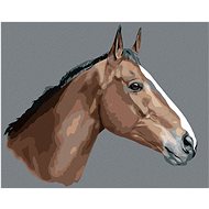 Zuty - Painting by Numbers - Brown Horse on Grey Background, 40X50 Cm, Canvas+Frame - Painting by Numbers