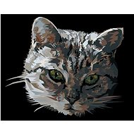 Zuty - Painting by Numbers - Grey Cat Portrait, 40X50 Cm, Canvas+Frame - Painting by Numbers