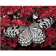Zuty - Painting by Numbers - White Butterfly and Red Flowers, 40X50 Cm, Canvas+Frame - Painting by Numbers