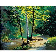 Zuty - Painting by Numbers - Beautiful Birch Tree and Little Stream, 40X50 Cm, Canvas+Frame - Painting by Numbers