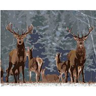 Zuty - Painting by Numbers - Noble Deer, 40X50 Cm, Canvas+Frame - Painting by Numbers