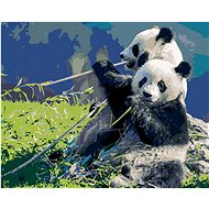 Zuty - Painting by Numbers - Panda And Bamboo, 40X50 Cm, Canvas+Frame - Painting by Numbers