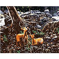 Zuty - Painting by Numbers - Two Deer in the Forest, 40X50 Cm, Canvas+Frame - Painting by Numbers