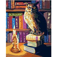Zuty - Painting By Numbers - Owl In The Library, 40X50 Cm, Canvas+Frame - Painting by Numbers