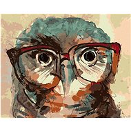 Zuty - Painting By Numbers - Owl With Glasses, 40X50 Cm, Canvas+Frame - Painting by Numbers