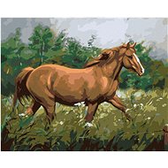 Zuty - Painting By Numbers - Brown Horse In Pasture By Forest, 40X50 Cm, Canvas+Frame - Painting by Numbers