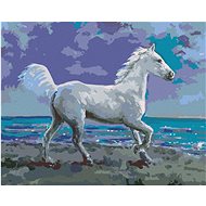 Zuty - Painting by Numbers - White Horse on the Shore, 40X50 Cm, Canvas+Frame - Painting by Numbers