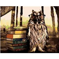 Zuty - Painting By Numbers - Owl With Books, 40X50 Cm, Canvas+Frame - Painting by Numbers