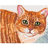 Zuty - Painting by Numbers - Beige Cat And Green Eyes, 40X50 Cm, Canvas+Frame - Painting by Numbers