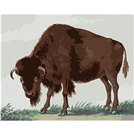Zuty - Painting by Numbers - Bison (I. Van Haastert), 40X50 Cm, Canvas+Frame - Painting by Numbers