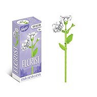 Ningbo Linkyo MINI Florist, Jasmine - Building Set