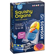 FS Human organs - Experiment Kit