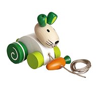 Detoa Hare with Carrot - Push and Pull Toy
