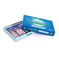 Scottie Go! Labyrinth ENG - Educational Set