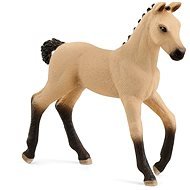 Schleich 13929 Animal - Hanoverian foal - Figure