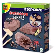 SES Fossil Excavations - Experiment Kit