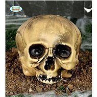Plastic skull decoration - halloween - Party Accessories