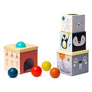 Taf Toys - Nordpol Set mit Würfeln und Bällen - Bild-Bausteine