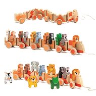 Big Jungle Train - Push and Pull Toy
