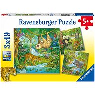 Ravensburger 051809 Animals in the Jungle 3x49 pieces - Jigsaw Puzzle