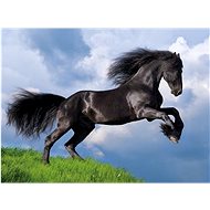 Puzzle 500 Fresian Black Horse - 2020 - Jigsaw Puzzle