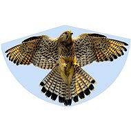 Günther - Falcon  92x62cm - Kite