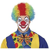Curly coloured afro wig - clown - Wig