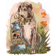 Painting by Numbers - Hound with Birds, 40x50cm on Canvas Stretched over Frame - Painting by Numbers